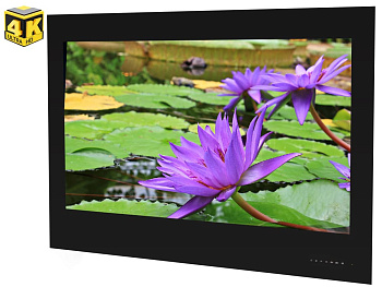 AVS430SM telewizor (Charny) 4K Ultra HD Smart TV